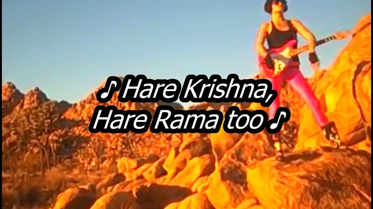 rootF IMG 66df1139a5a5b